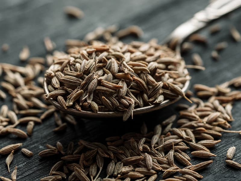 High quality cumin seeds
