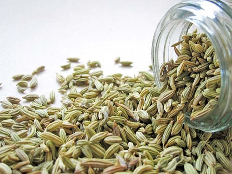 Premium fennel seeds